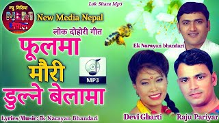 Nepali Lok Dohori Song quotPhool Ma Mauri Dulne Belamaquot By Raju Pariyar and Devi Gharti Magar [upl. by Ecirrehs]