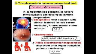 Parasitology ASU Blood module Toxoplasma 2 Dr Khaled habib [upl. by Enecnarf157]