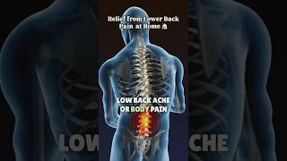 Quick Relief for Lower Back Pain  Try This Acupuncture Point [upl. by Anemij755]