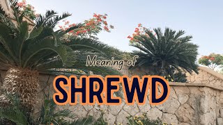 What is the meaning of Shrewd [upl. by Langer756]