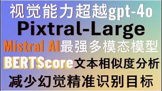 超越GPT4o！Mistral AI重磅发布多模态大模型PixtralLarge！结合BERTScore实现更精准的图像和视频目标检测，从此告别大模型幻觉问题，强大且免费！附完整代码！agi [upl. by Garnette929]