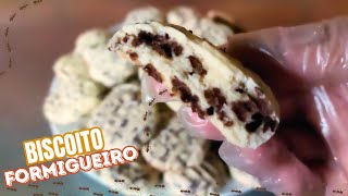 BISCOITO FORMIGUEIRO  RECEITA MAIS FÁCIL E DELICIOSA DA SUA VIDA [upl. by Ronyam303]