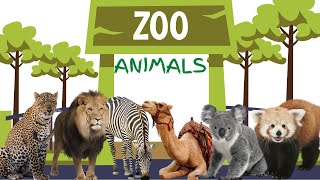 Zoo Animals for Kids Wild Animals at the Zoo to Learn  Learning 50 Zoo Animals For Kids [upl. by Doownelg]