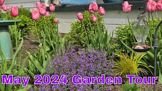 May Garden Tour 2024  Weeds and Tulips Oh My [upl. by Flin]