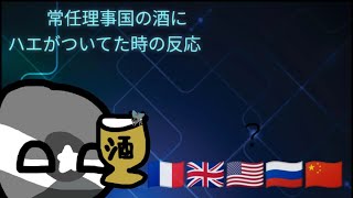 【エスニックジョーク】常任理事国の酒にハエがついてた時の反応 [upl. by Leoy]