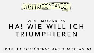 Ha wie will ich triumphieren – Digital Accompaniment [upl. by Ness]