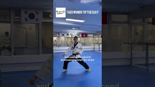 How to Perform Stances in Poomsae 5 taekwondo [upl. by Collier103]