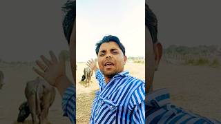 Samne baithe raho tumAre Re are bindassmeenajiofficial youtubeshorts hindisong bollywood song [upl. by Thgiwed]