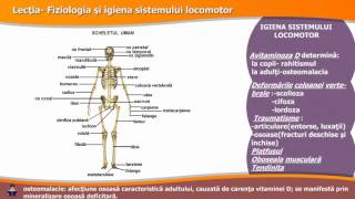 FIZIOLOGIA ȘI IGIENA SISTEMULUI LOCOMOTOR [upl. by Hurst]