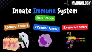 Innate Immune System SIMPLE Overview  Immunology [upl. by Parrott635]