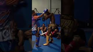 Muay Thai legend Saenchai sparring UFC fighters 💥 [upl. by Moulden]