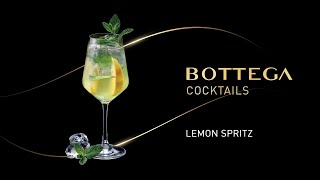 Bottega Cocktails BOTTEGA SPRITZ ita [upl. by Yelrah]