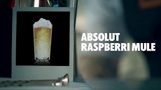 ABSOLUT RASPBERRI MULE DRINK RECIPE  HOW TO MIX [upl. by Asle]