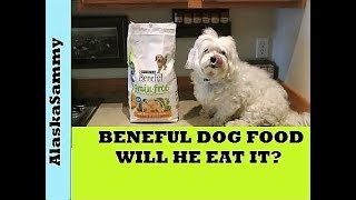 Beneful Dog Food Review [upl. by Aztiray]