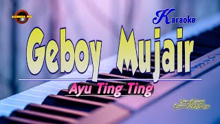 Geboy Mujair Karaoke  Ayu Ting Ting [upl. by Yticilef]