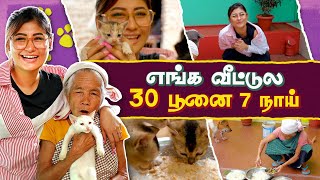 எங்க வீட்டுல 30 பூனை 7 நாய்  Assam Pet Vlog  Sunita Xpress [upl. by Nnawtna448]