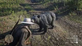 Weird behavior from this bear RDR2 GLITCHED GONE WRONG PINKERTONS CALLED [upl. by Casaleggio155]