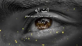 Enta eih  Arabic song  Lyric with Urdu  English  Slowed reverb [upl. by Demetrius]