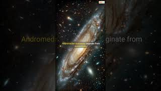 Starseed Types Explained Discover Your Cosmic Origins spirituality starseedorigins facts [upl. by Salita]