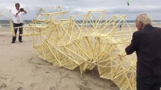 Caterpillar Strandbeest [upl. by Enirtak]