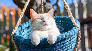 Ultimate Sleep Aid for Anxious Cats  Deep Sleep Cat Music for Anxiety EXTREMELY Favorite Cat Music [upl. by Carilla636]