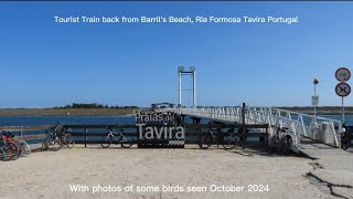 Tourist Train from Barrils Beach Tavira Portugal birdingnorthdevon [upl. by Sean603]