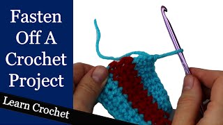 How to Finish a Crochet Project  Beginner Course Lesson 75 [upl. by Enyr11]