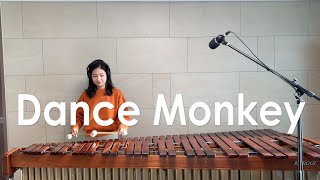 Dance Monkey  Tones and I  Marimba Cover [upl. by Swec893]