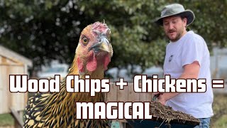 Making Magic in the Chicken Run with Wood Chips [upl. by Salesin]