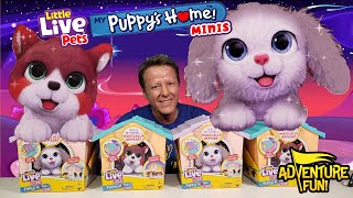 6 Little Live Pets My Puppy’s Home Minis Build Home amp Puppy Magically Arrives Toy Adventure Fun [upl. by Nannoc]