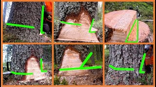 How Trees Fall With Different Undercuts [upl. by Adok239]