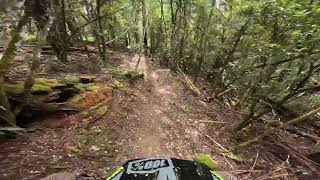 Old Mate Cobber into Topgun  Maydena Bike Park [upl. by Gauldin]