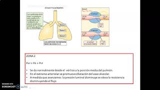 4 Perfusión pulmonar [upl. by Nylegna]