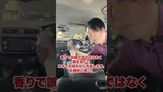 ドア開けた時ムアッって匂う車はエバポ洗浄にも使える消臭剤で車内除菌消臭したらいいんよ！ [upl. by Yadrahs859]