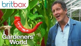 Monty Don Shows How to Grow Your Own Chillies  Gardeners World [upl. by Arorua488]