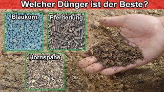 Hornspäne Blaukorn Natur Dünger anwenden  Womit soll ich düngen – Dünger Vergleich amp Unterschied [upl. by Alletnahs502]