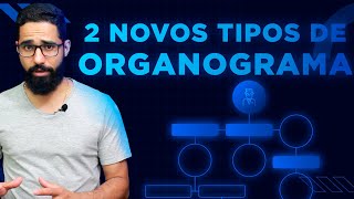 2 NOVAS MANEIRAS DE VOCÊ MONTAR UM ORGANOGRAMA Organize a sua Empresa de Maneira Estratégica [upl. by Yevette]