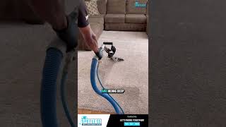 Ever wonder why your carpets get dirty so fast shorts carpetcleaningservice [upl. by Retsub]