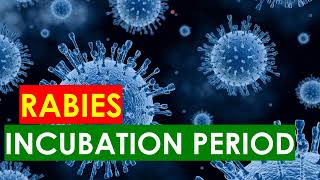 RABIES INCUBATION PERIOD [upl. by Leotie]