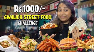 Living on Rs 1000 only STREET FOOD CHALLENGE  Gwalior  Episode2 [upl. by Jessabell978]