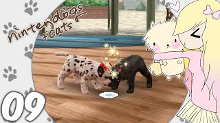 Lets Play Nintendogs  Cats Toy Poodle  EP09 Play date ⊂・▽・⊃ [upl. by Palgrave]