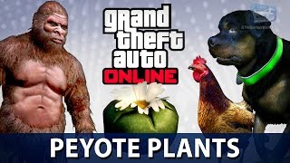 GTA Online  All 76 Peyote Plants Locations Play as an Animal in GTA Online [upl. by Aikyt]