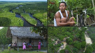 Indígenas colombianos vs créditos de carbono el lado oscuro de la geopolítica ambiental  AFP [upl. by Cofsky576]