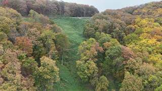 Fall Colors Ellijay GA November 2024 [upl. by Tugman]