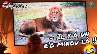 VLOGMAS   Ya un ro minou là  😆 😅 😂 🤣 10 [upl. by Ellenuahs]