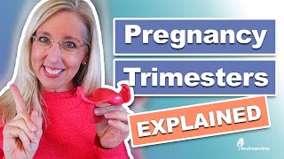 Pregnancy amp Trimesters Explained [upl. by Buerger688]