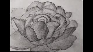 How To Shade Flowers [upl. by Harriette]