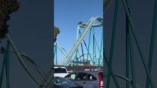 🫣😱😂 seaworld rollercoaster fypシ゚ shortsfeed views fypage fypviral youtube adventure [upl. by Cary]