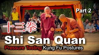 十三拳 · Shi San Quan 🫵 Basic Structure  Pressure Testing 🫵 in Shaolin Kung Fu Forms [upl. by Pravit643]