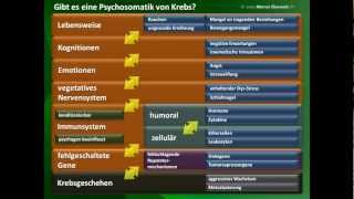 Werner Eberwein Psychosomatik bei Krebs [upl. by Ecinnej535]